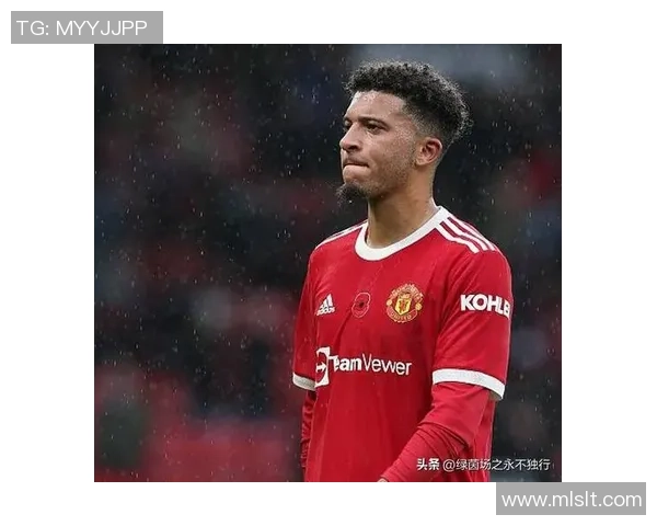 桑乔在绿茵场上的崛起与挑战：从天才少年到足球巨星的奋斗历程