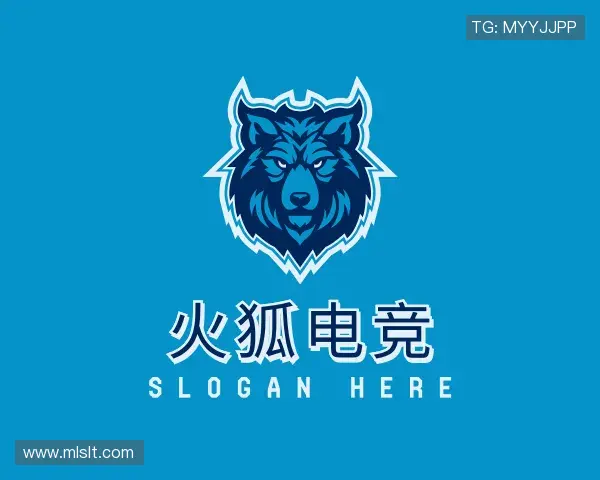 发现火狐电竞