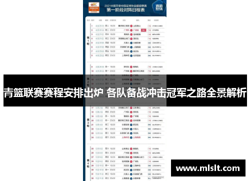 青篮联赛赛程安排出炉 各队备战冲击冠军之路全景解析