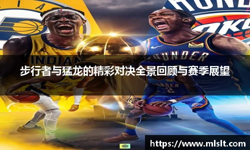 球速体育官网入口