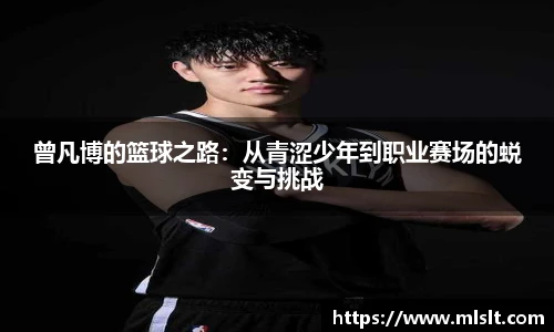 球速体育最新地址