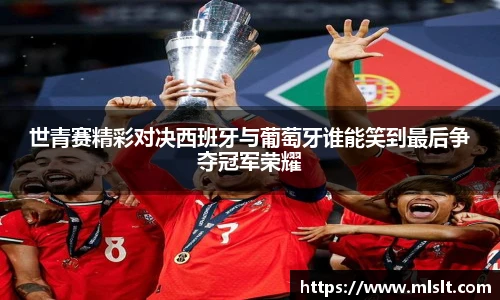 球速体育官网入口