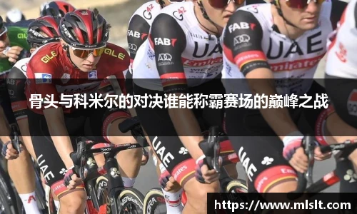 球速体育官网入口