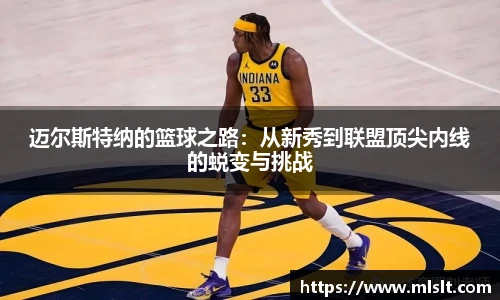 球速体育手机网页版登录