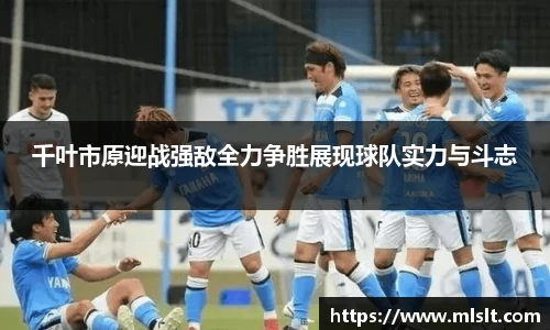 球速体育官网版
